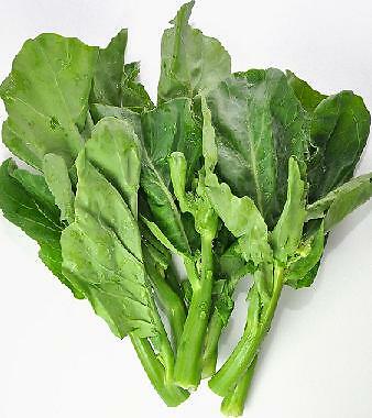 Baby Broccoli Gai Lan 500 seeds