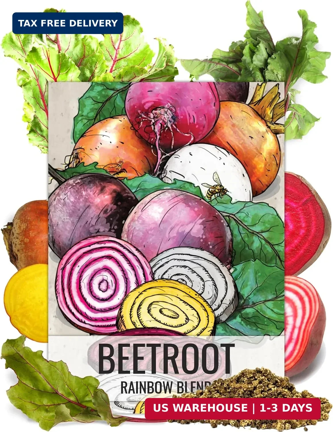 Seed Needs Rainbow Beet Seeds for Planting 8 Varieties | 1,500+ Heirloom Seeds B