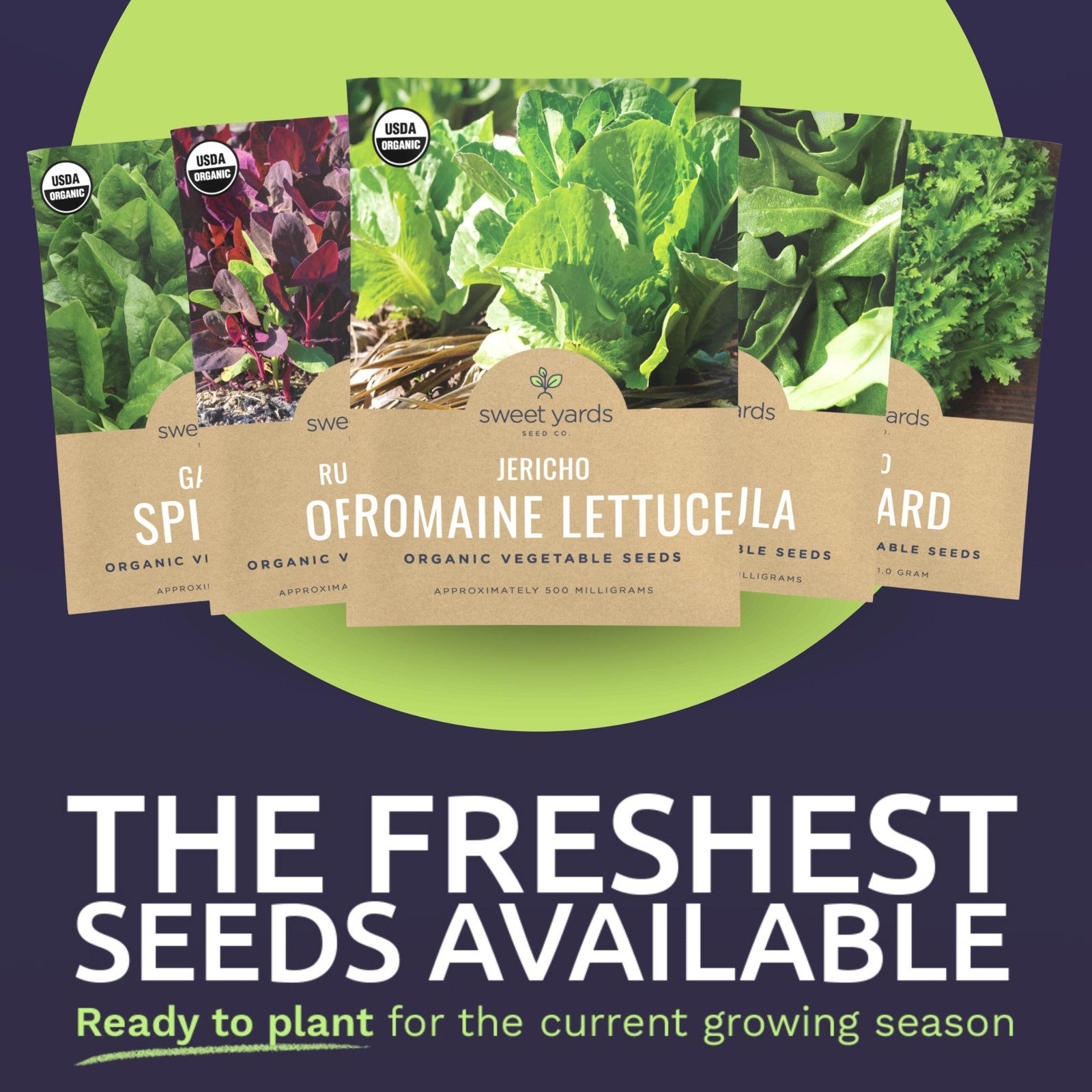 Organic Heat Tolerant Lettuce Seeds Variety Pack 8 Individual Packs 2026 Se…