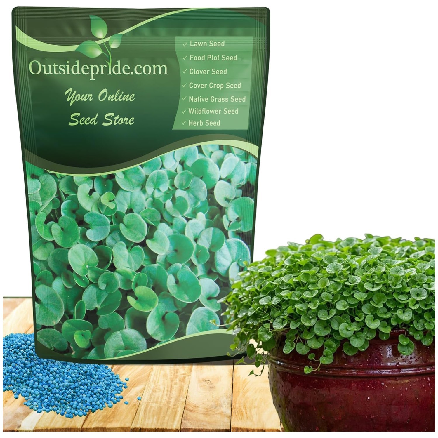 Green Dichondra Repens – 2 lbs Seeds for -Round Coverage