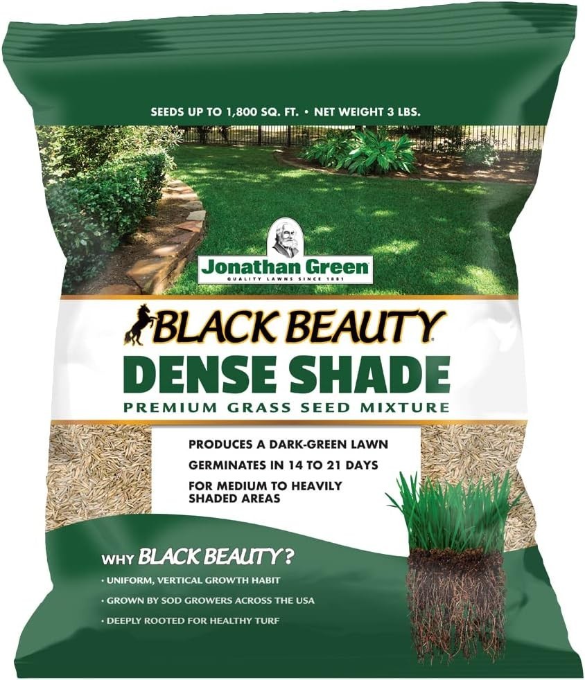 Cool Season Grass Seed Mix – 4 Types for Balanced Growth in Partial Sun