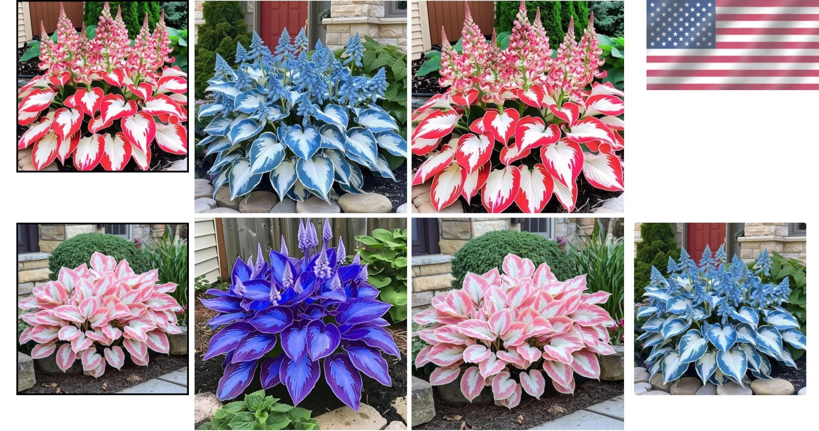 GMO-Free Hosta Seeds – 200+ Heart-Shaped, Vibrant Foliage for Outdoor Elegance