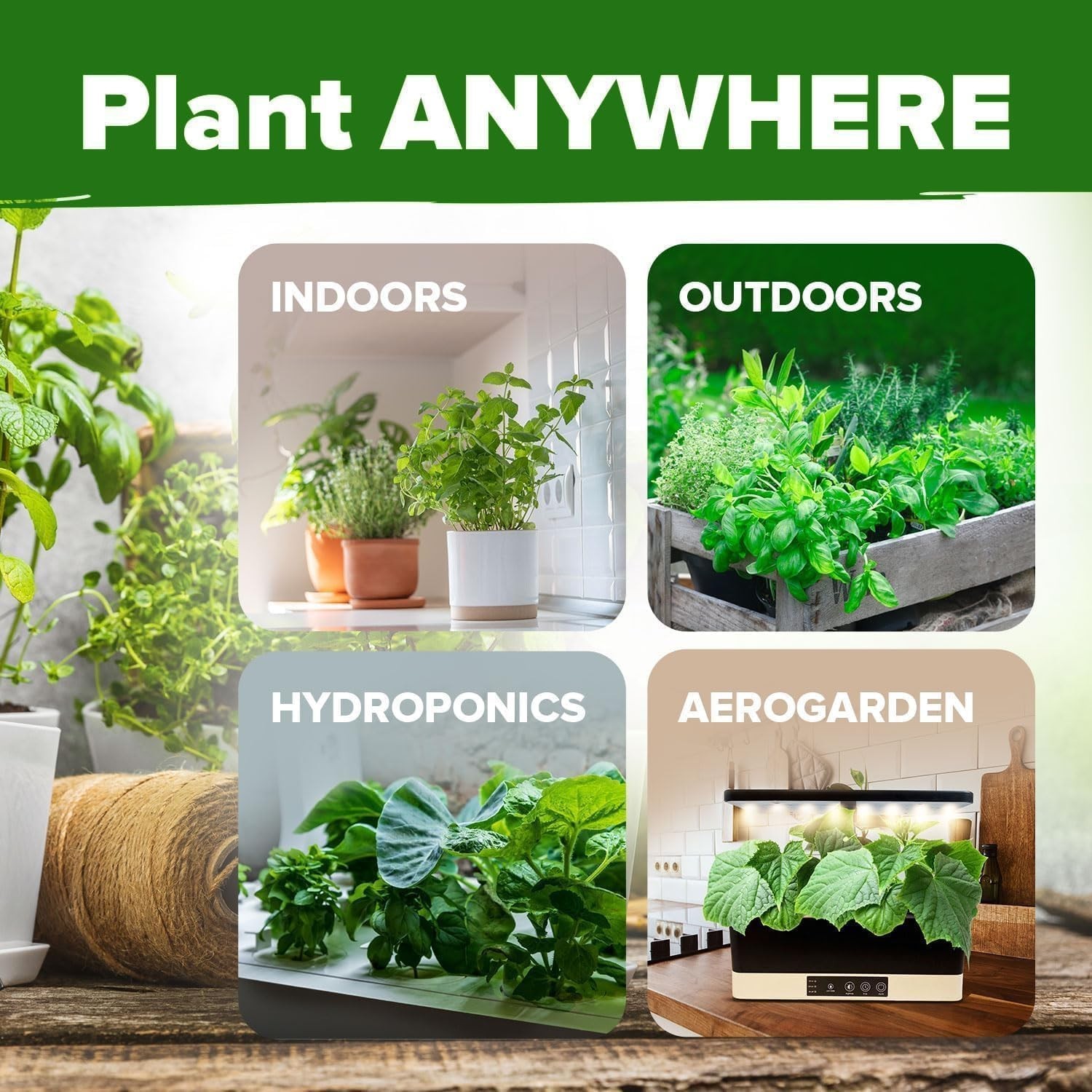 Complete Culinary Herb Seed Collection – 15 Varieties for Every Garden