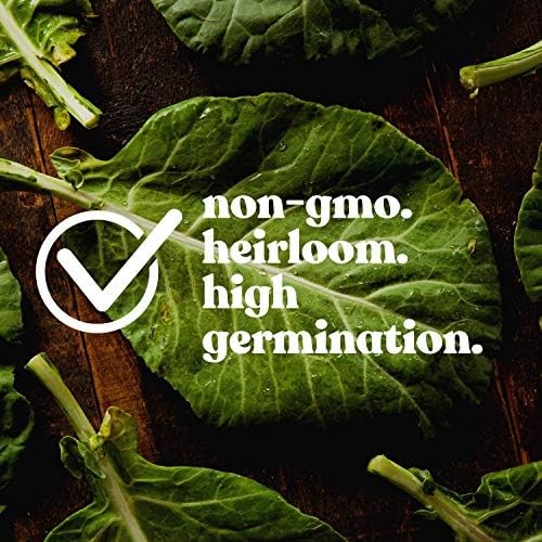 Premium 1 Lb Clover Seed Blend Red White Crimson Nitrogen Fixing Cover Crop