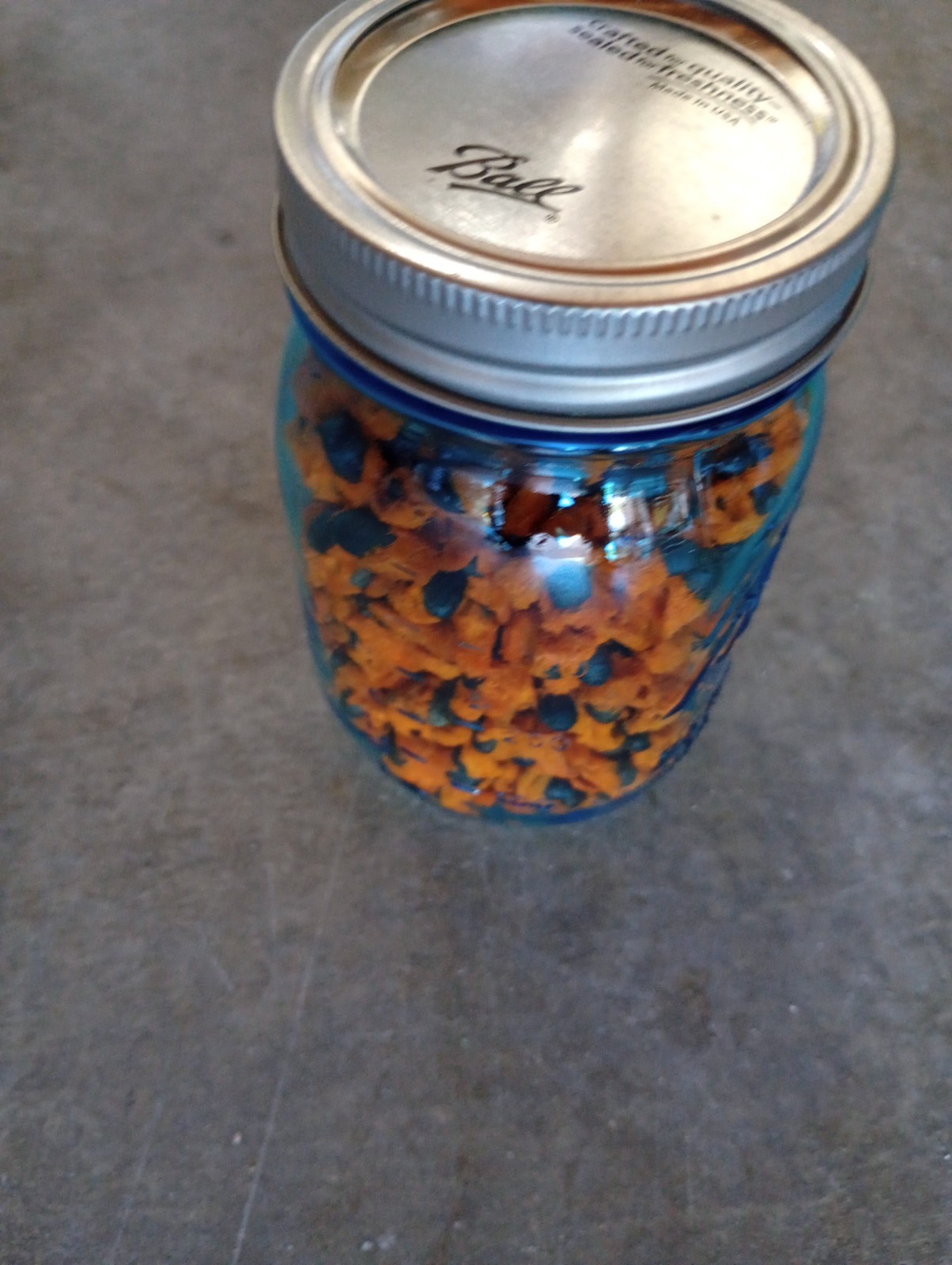 BIRD OF PARADISE SEEDS,