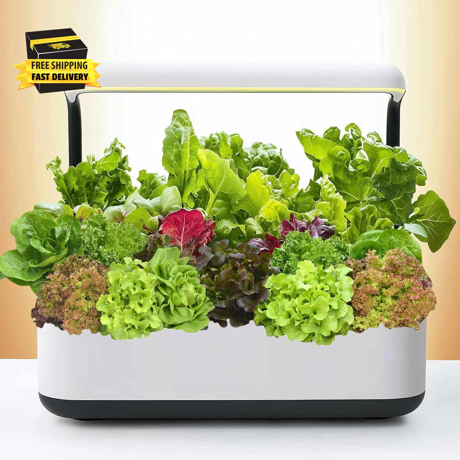20,000+ Lettuce Seeds, Heirloom Vegetable Seed for Planting Indoor Outdoor, 10 V