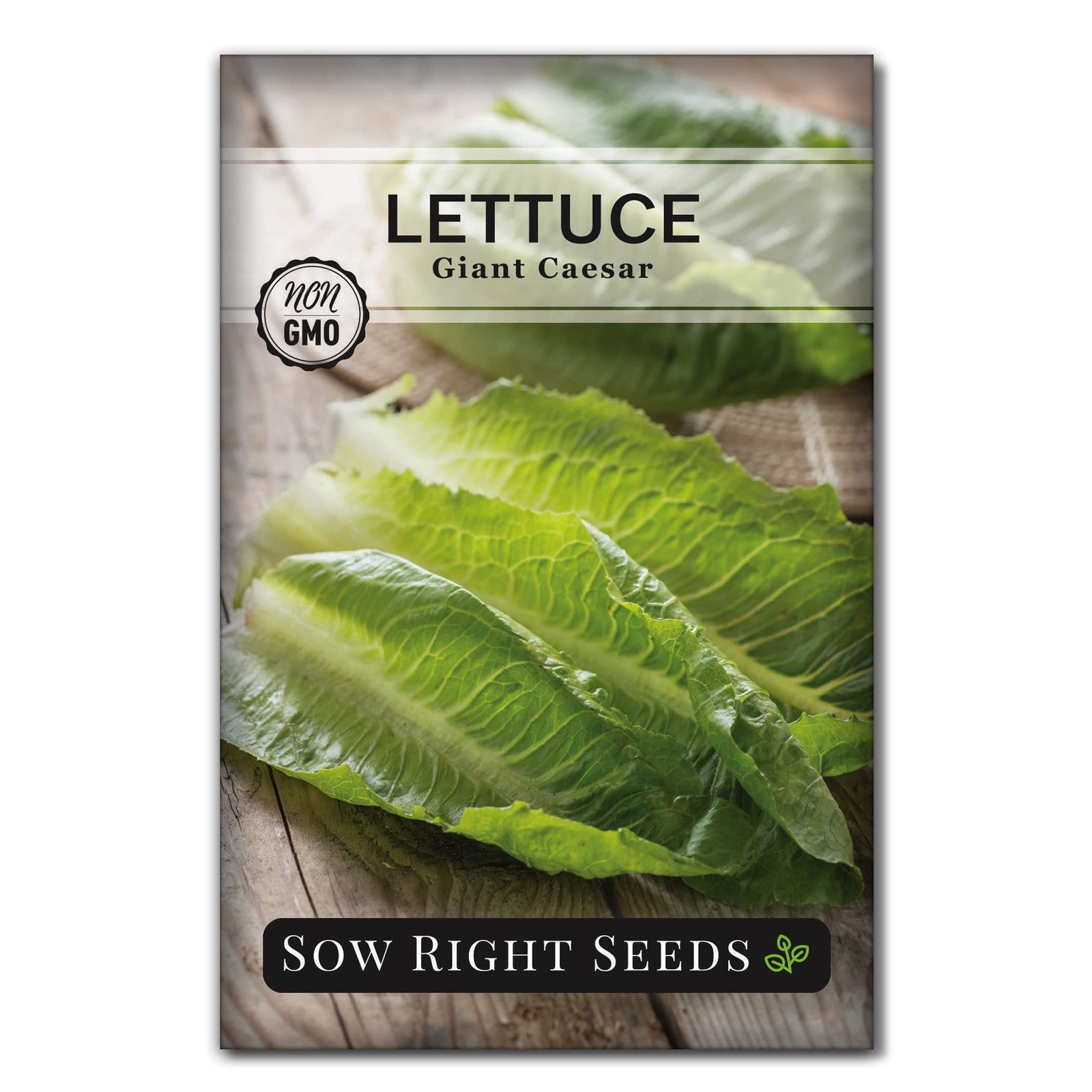 – Giant Caesar Lettuce Seeds for Planting – Non-GMO Open Pollinated Heirloom …