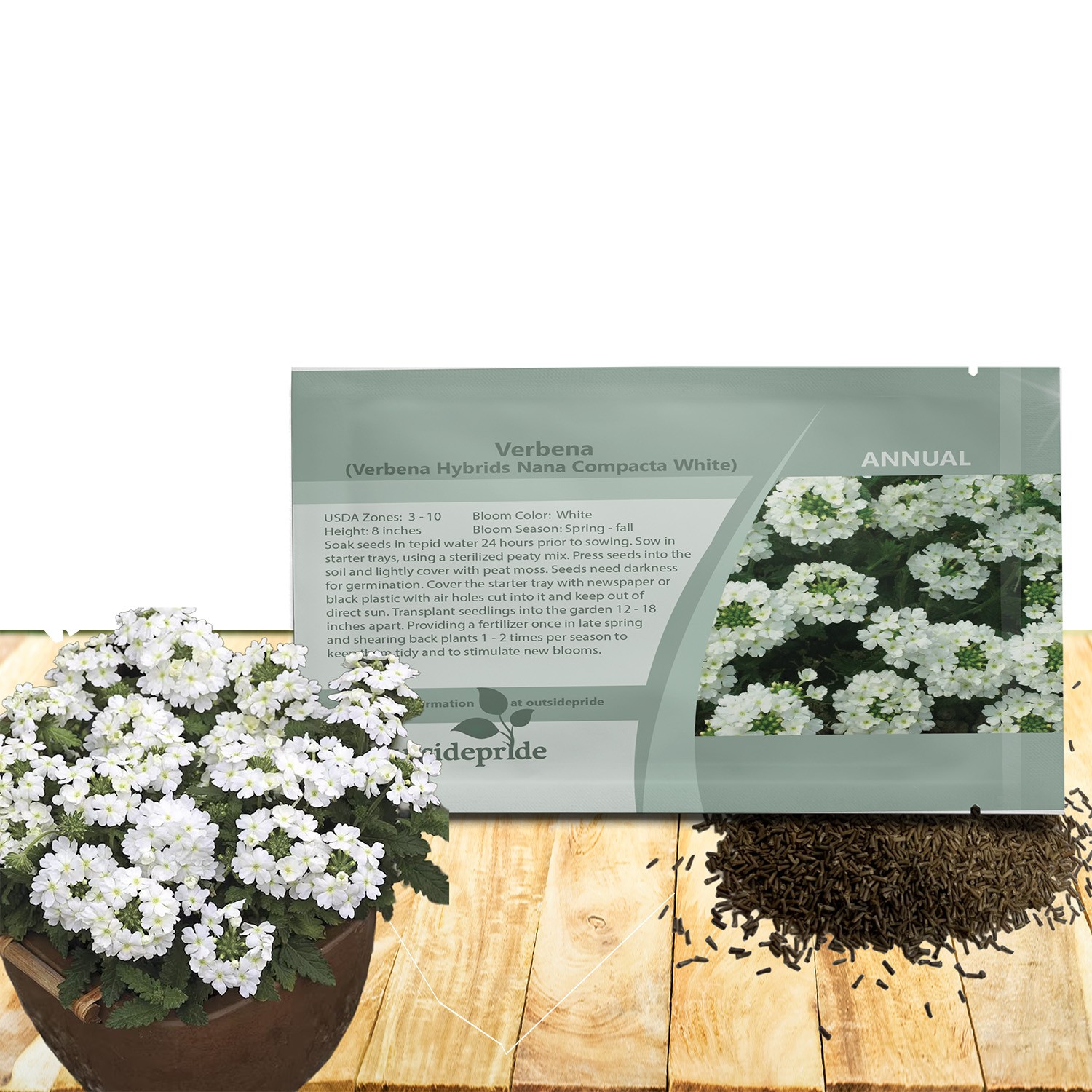 1000 Seeds Verbena Seed – Verbena Hybrida White Ground Cover Seeds