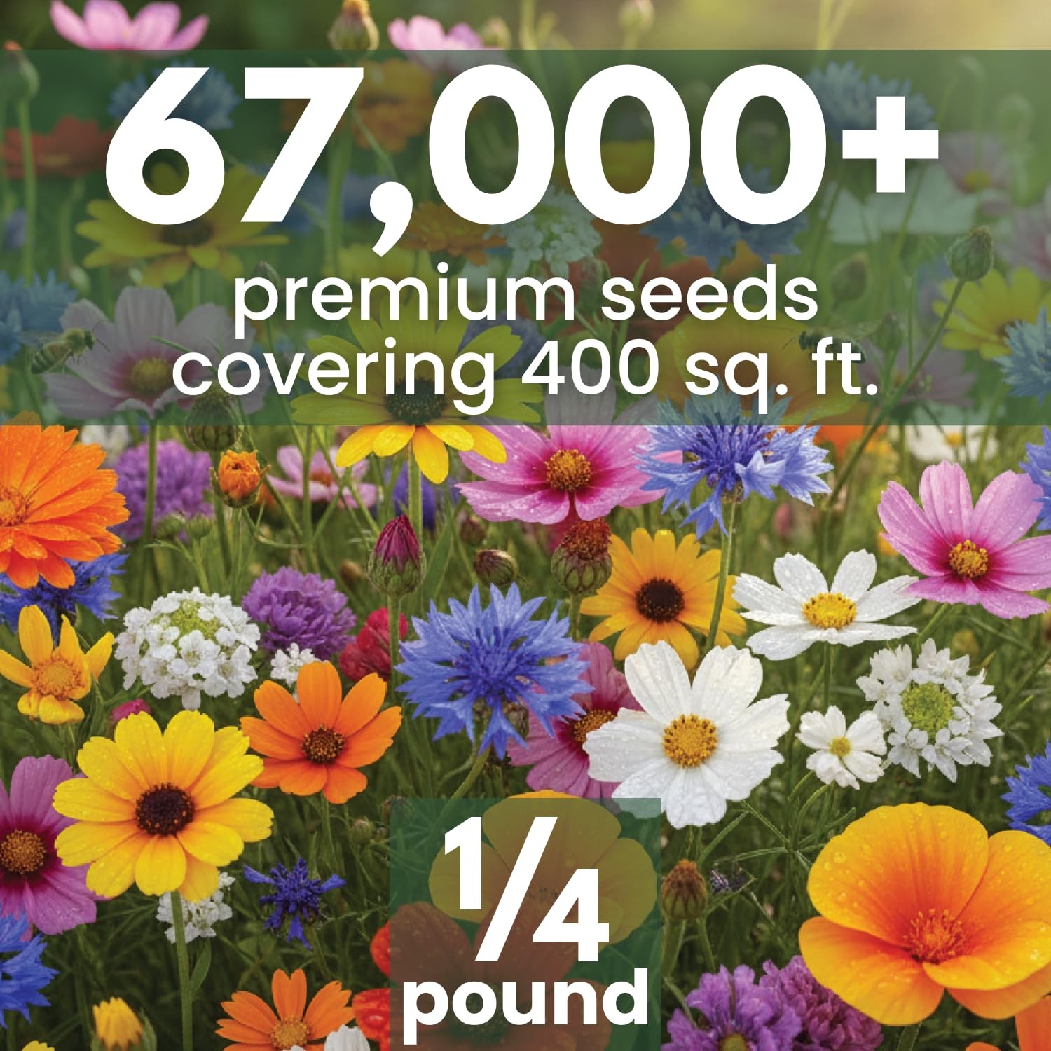 Quick Blooming Wildflower Mix 67,000 Seeds in 4 Ounce Packet for Planting