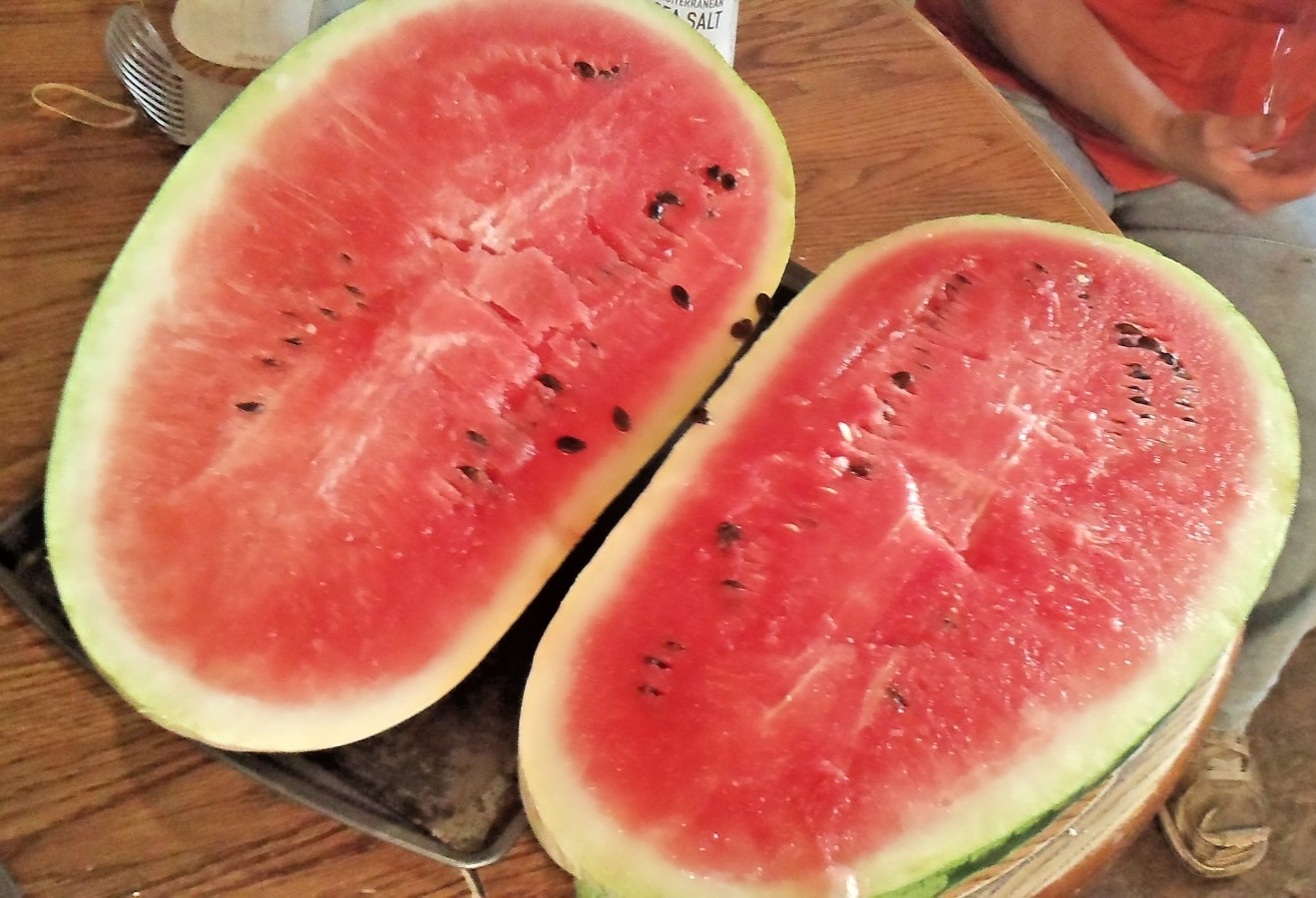 Iowa Grown Organic Striped Watermelon Seeds, NON-GMO, Gumbo Soil Pure 20-35 LBS