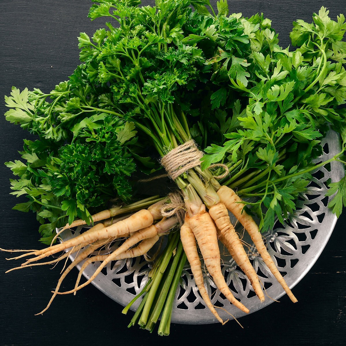 1/4 Lb Hamburg Rooted Parsley Seeds – Everwilde Farms Mylar Seed Packet