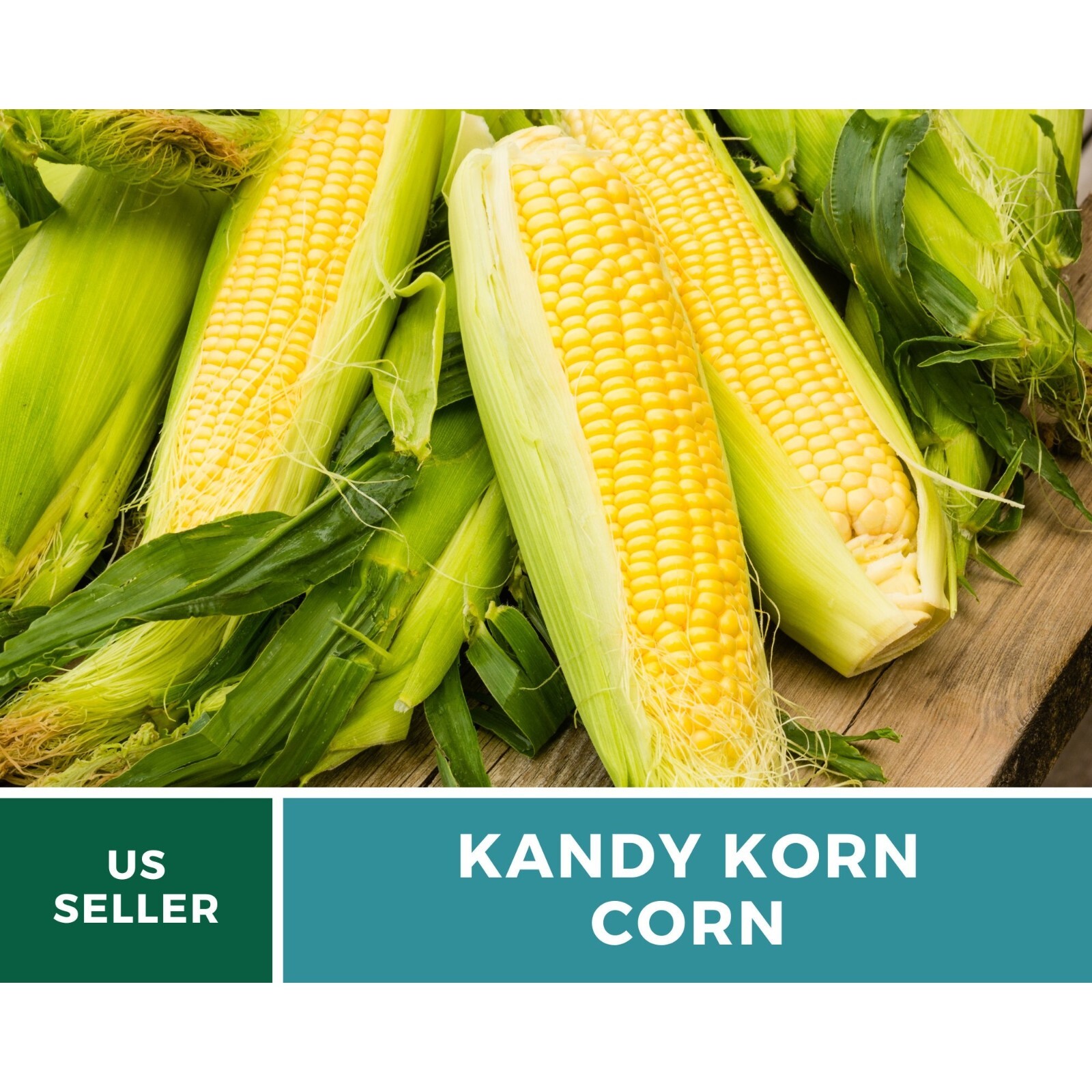 Corn, Kandy Korn – 60 Seeds – Sweet Corn – Hybrid Vegetable – Non-GMO (Zea mays)