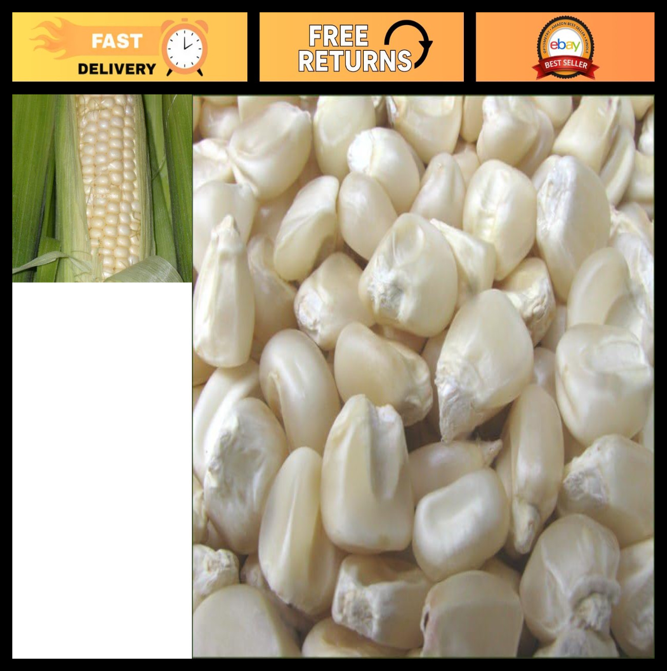 Heirloom White Dent Corn Seeds – 850 Non-GMO Seeds for Planting, Wildlife & Food