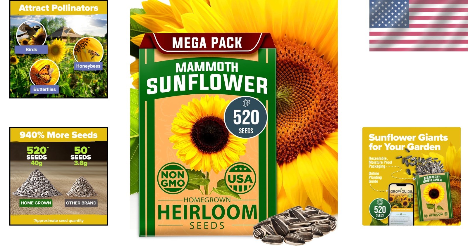 Giant Mammoth Sunflower Seeds – 520+ Heirloom Non-GMO Bulk Pack for Stunning …