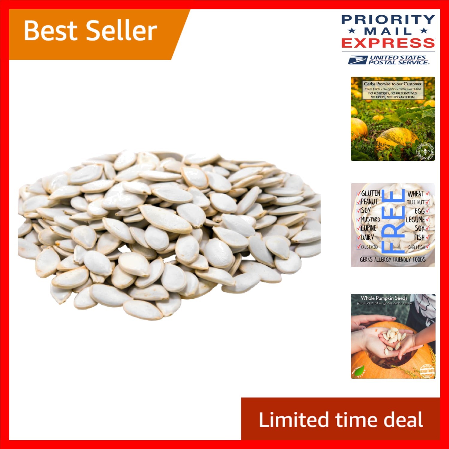 4 LB Resealable Pumpkin Seeds – Nutritious, Allergen-Free, Made in RI