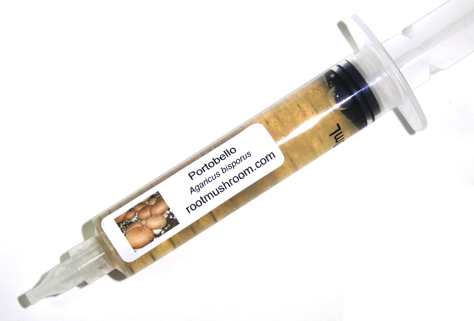 Mushroom Liquid Cultures for Portobello Agaricus Bisporus Growth