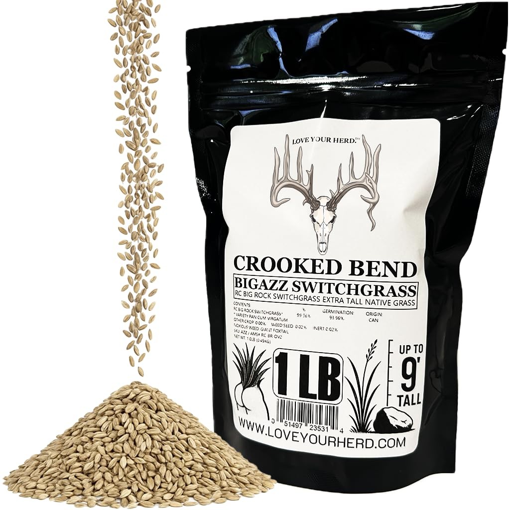 Bulk Switchgrass Seed for Deer Habitat, Food Plots & Green Screens 1 lb