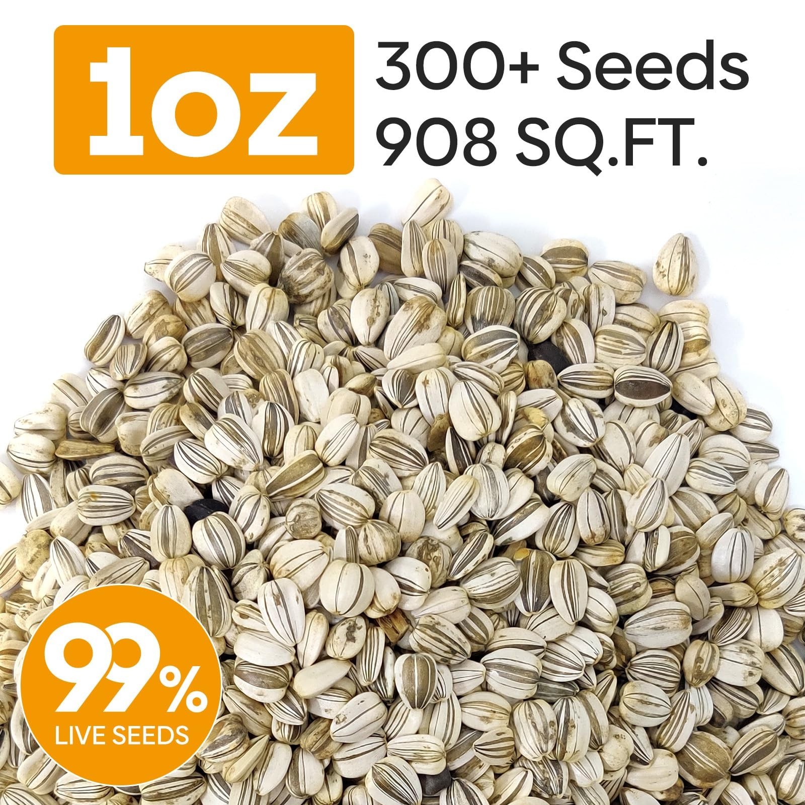 Giant Sunflower Seeds – 300+ Non-GMO Heirloom Seeds, 6-12 FT Tall, High Germinat