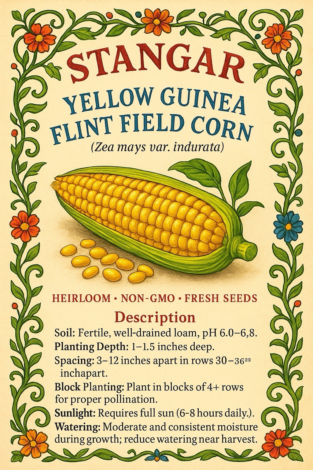Yellow Guinea Flint Field Corn Seeds 100+ Seeds Heirloom Non GMO Fresh Seeds