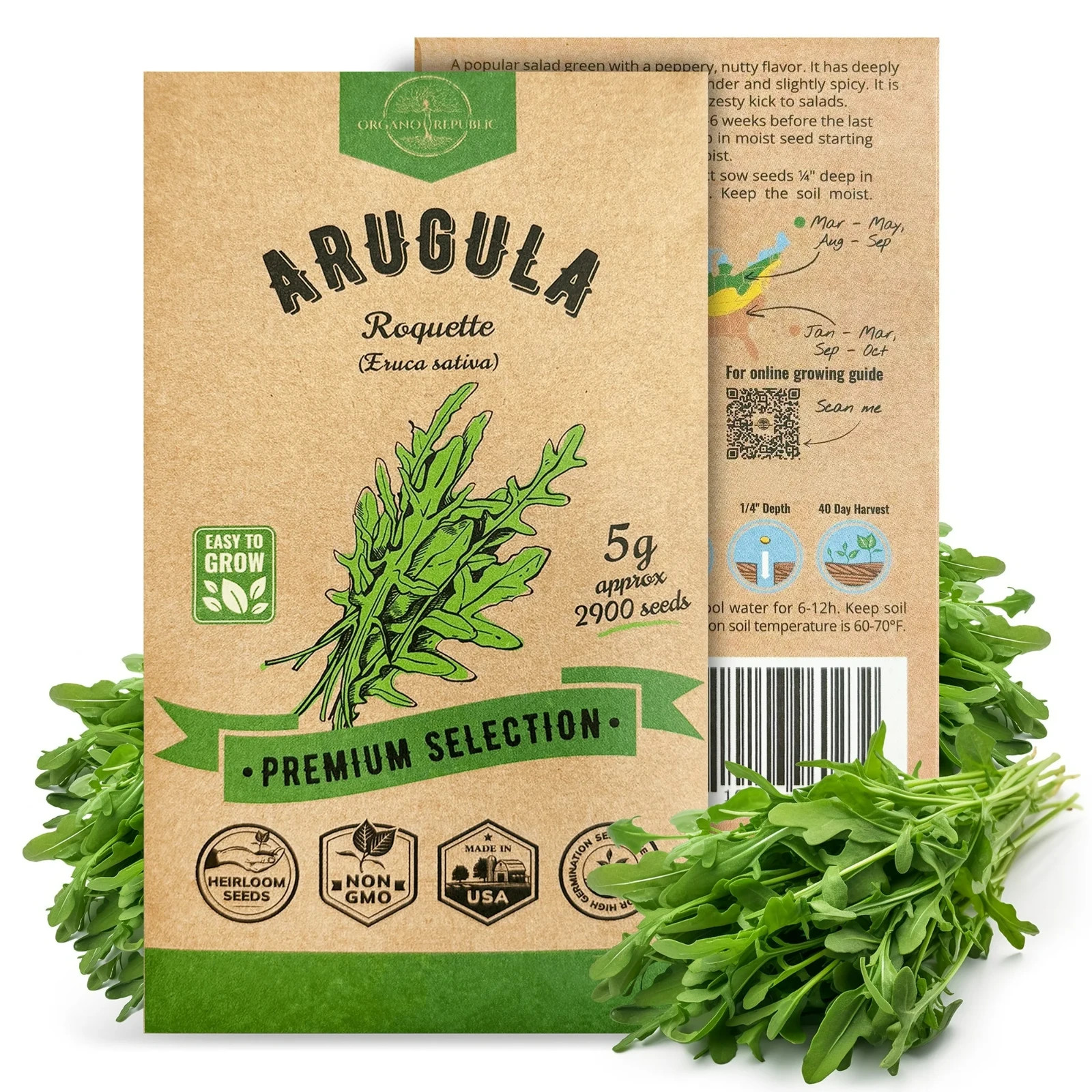 Arugula Roquette Seeds – Organo Republic