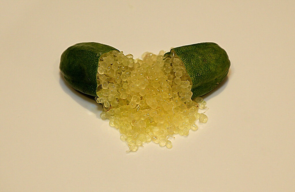 FLAVOURLY GREEN caviar Australian Finger Lime 3 cuttings, no roots,i mported