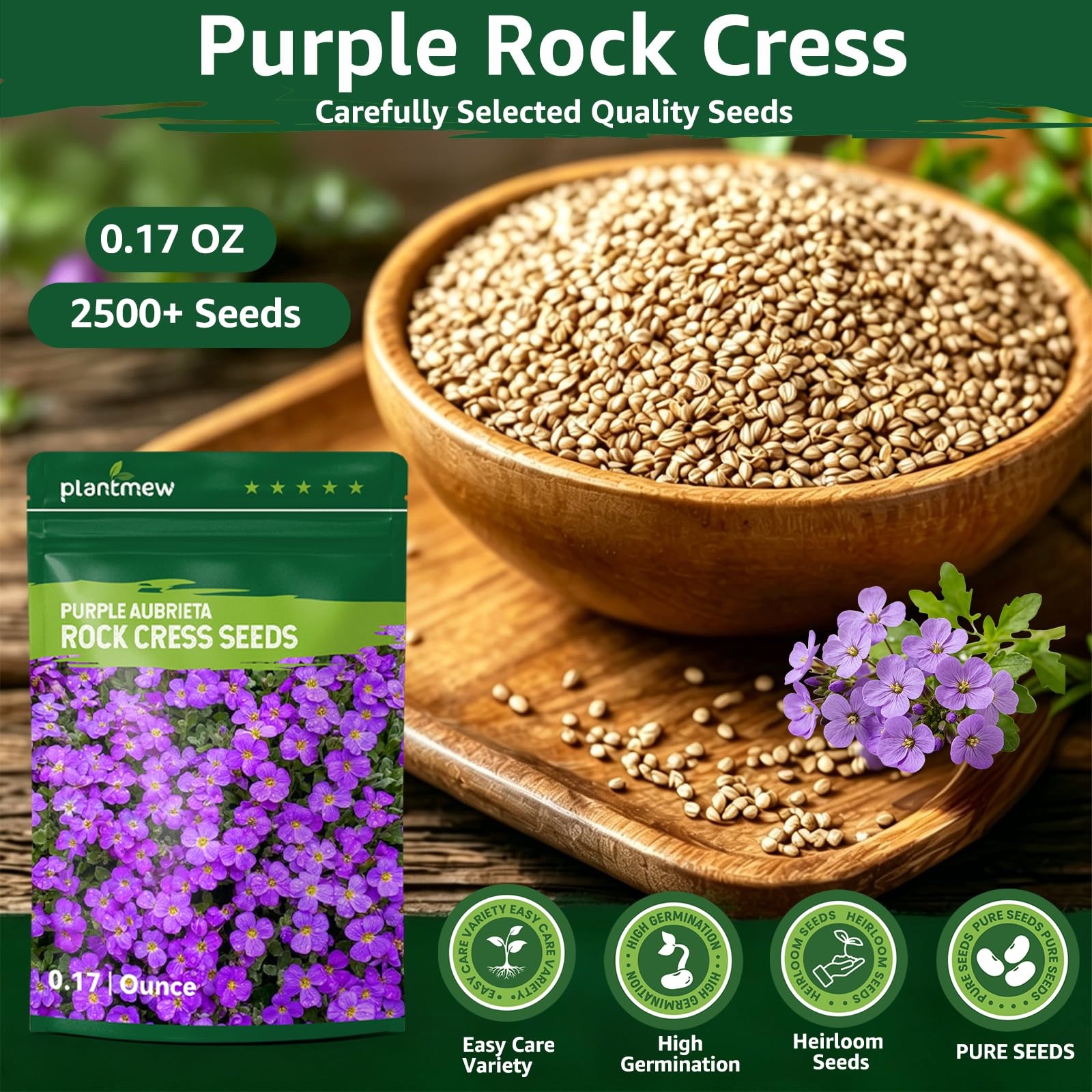2500+ Purple Aubrieta Rock Cress Seeds for Planting, Perennial Ground Cover F…