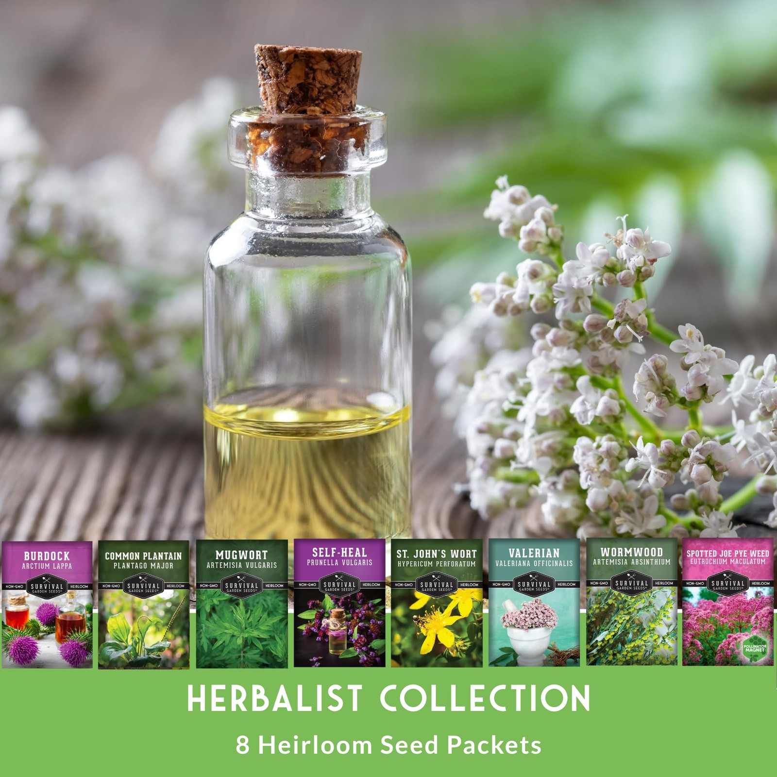 Herbal Seed Collection Plantain, JoePye Weed, St John’s Wort, Valerian,