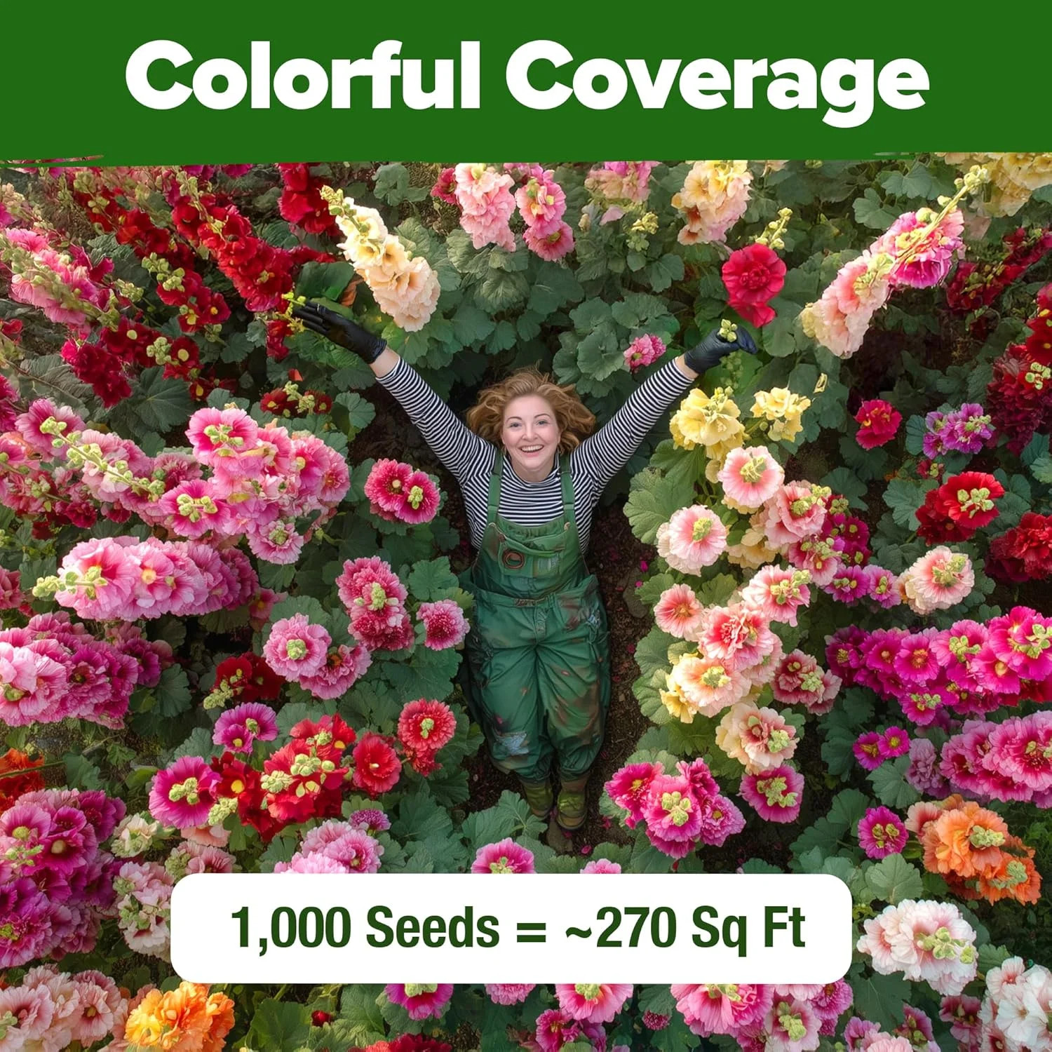 HOME GROWN Hollyhock Summer Carnival Mix Flower Seeds – Alcea Rosea, Premium Ann
