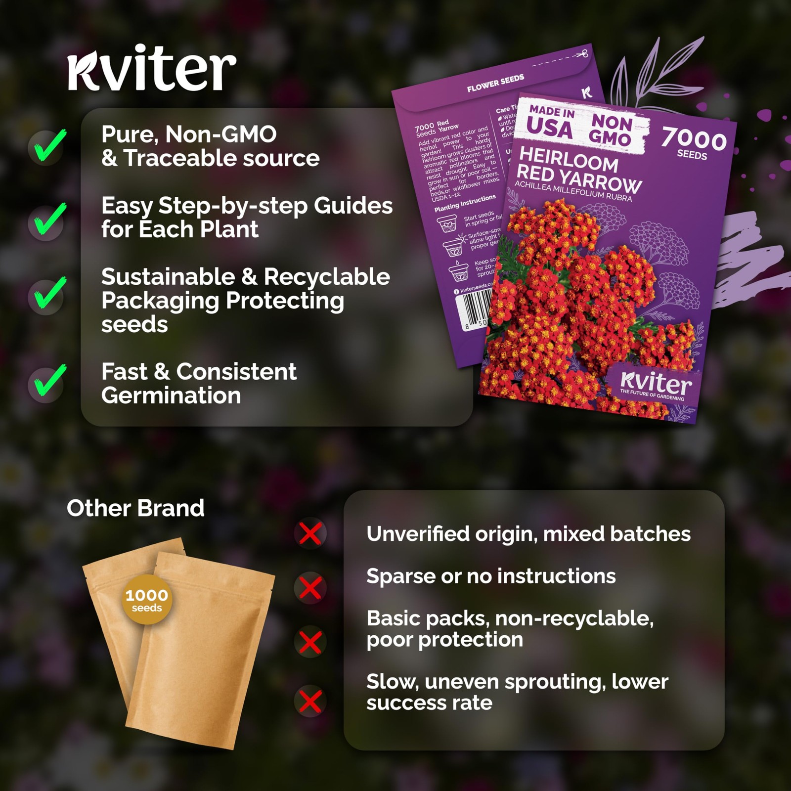KVITER 7000 Red Yarrow Seeds (Achillea Millefolium Rubra)