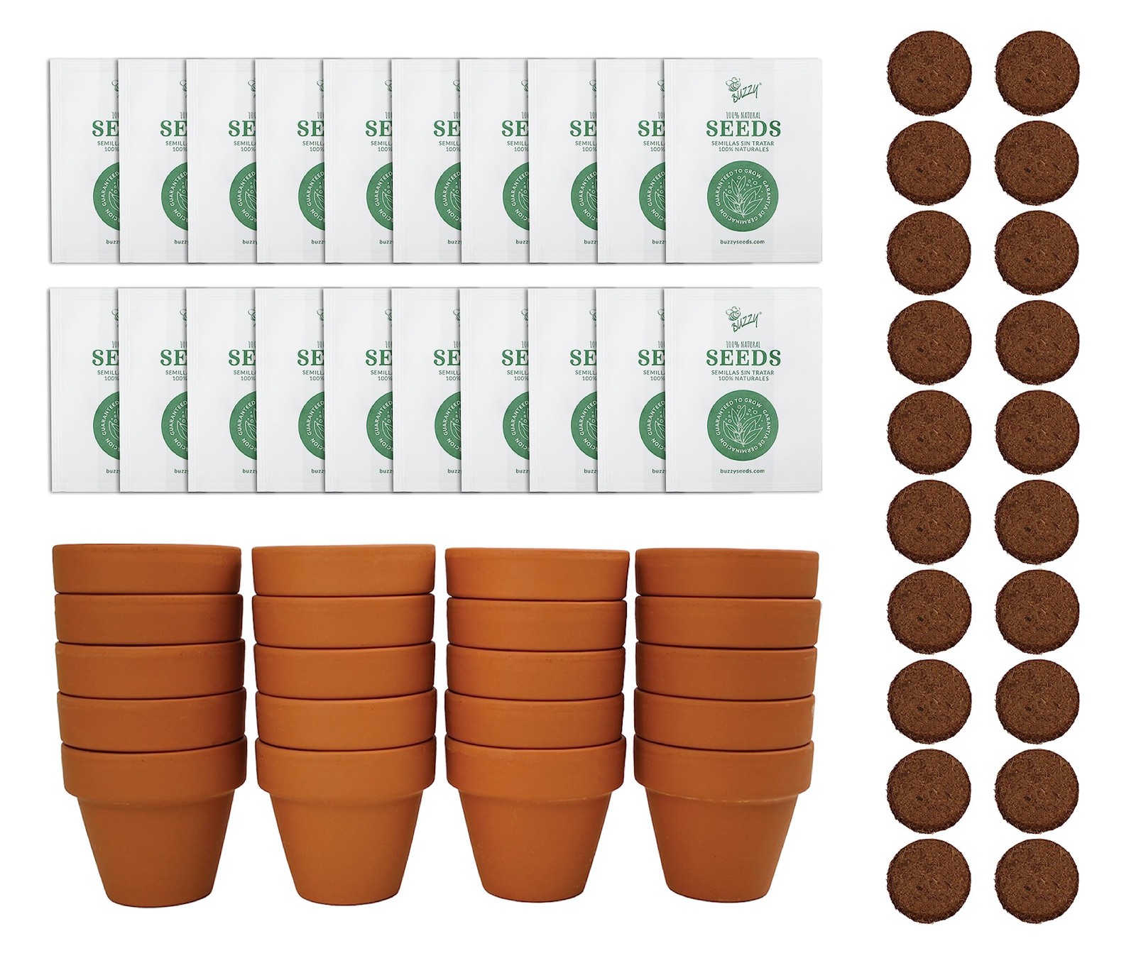 Daisy Seeds & Genuine Terracotta 5cm Mini Pot Bulk Pack (20 Count), Includes …