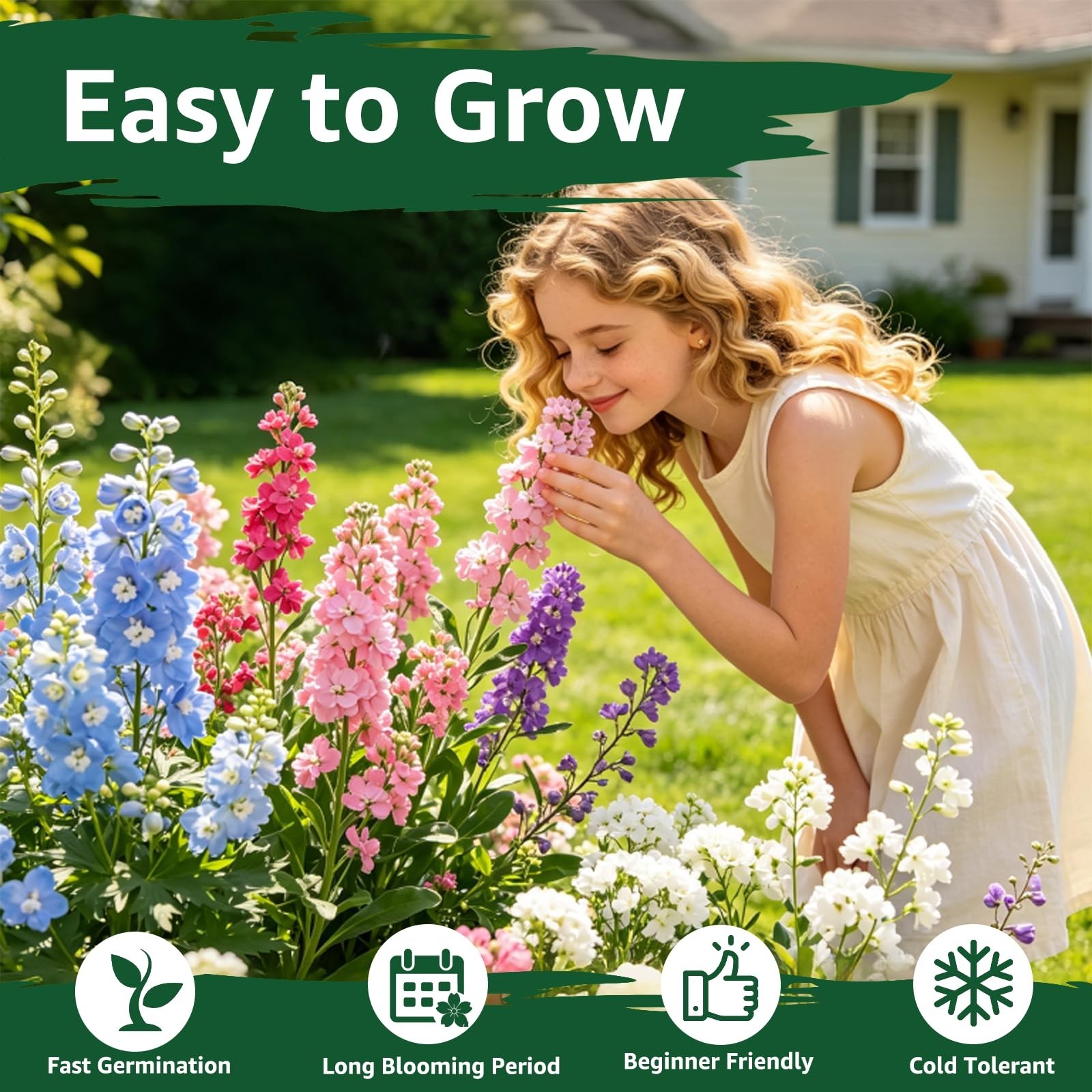 5600+ Forget Me Not Seeds – Easy to Grow Blue Perennial Wildflowers for Gardens