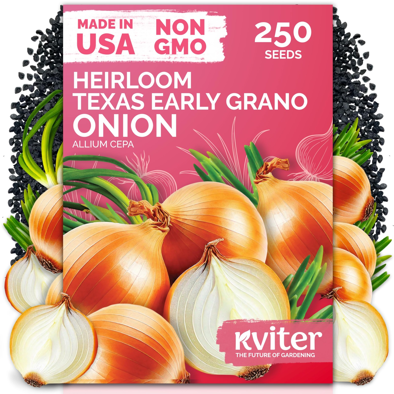 KVITER 250 Texas Early Grano Onion Seeds (Allium Cepa)