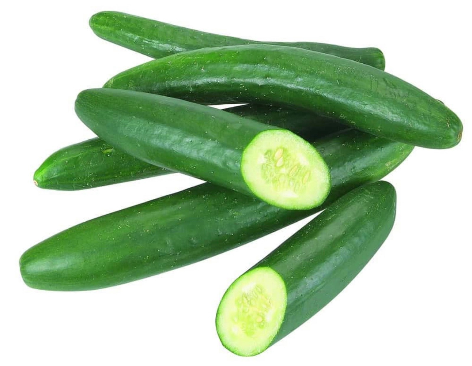 15 Green Dragon Burpless F1 Cucumber Seeds, Sushi, Cold Weather Early Fresh 2026