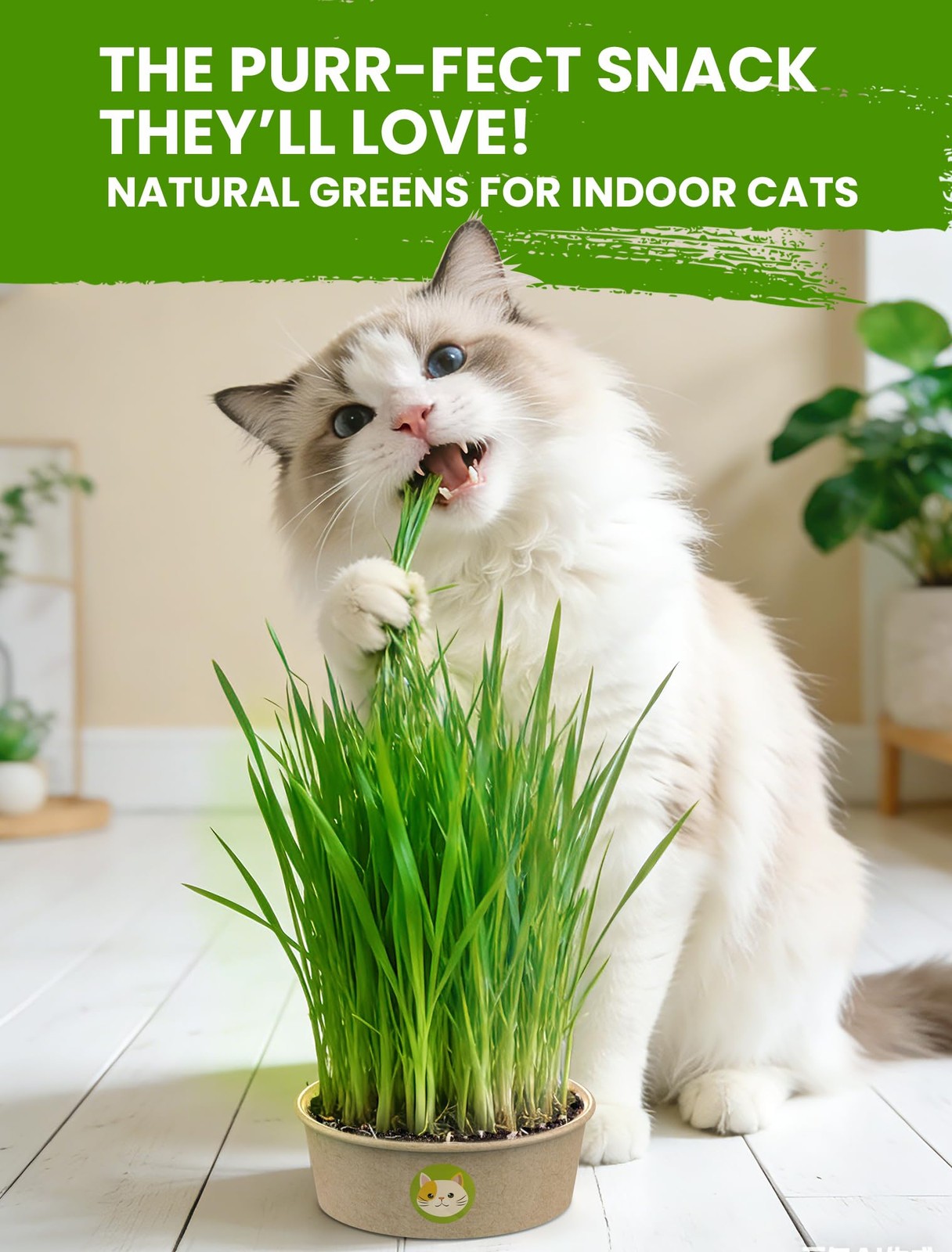 Indoor Cat Grass Kit – 3 Pack Eco-Friendly Pots, Soil & Wheatgrass Seeds
