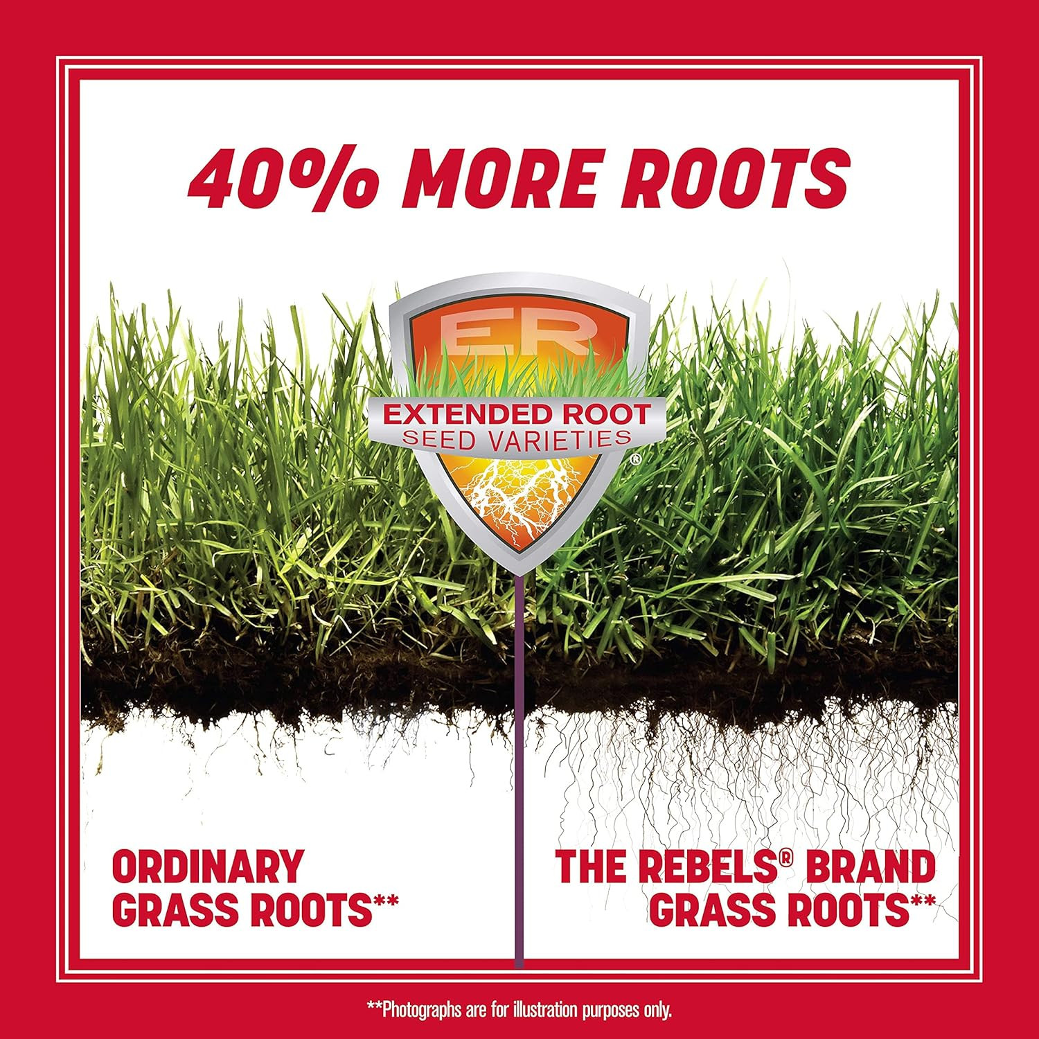 the Rebels Tall Fescue Grass Seed Mix 3 Lb
