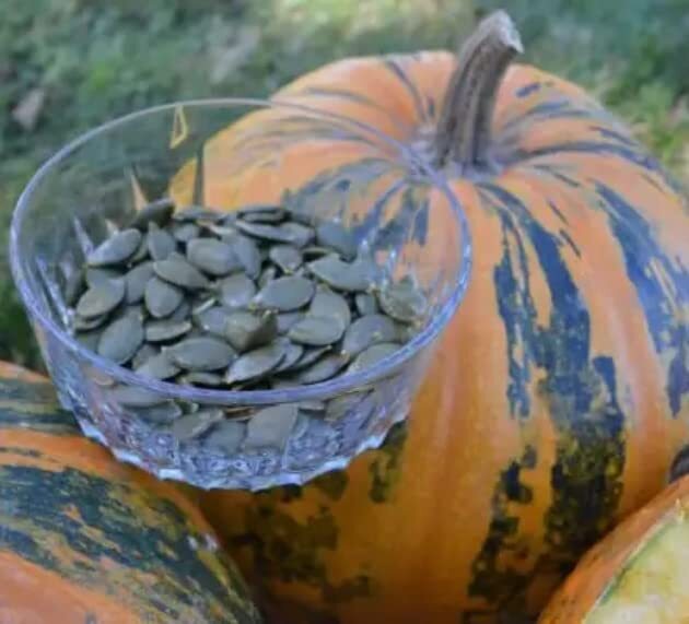 Painted Stripe Pumpkin Seeds for Planting (10 Seeds) – Hybrid HSC151
