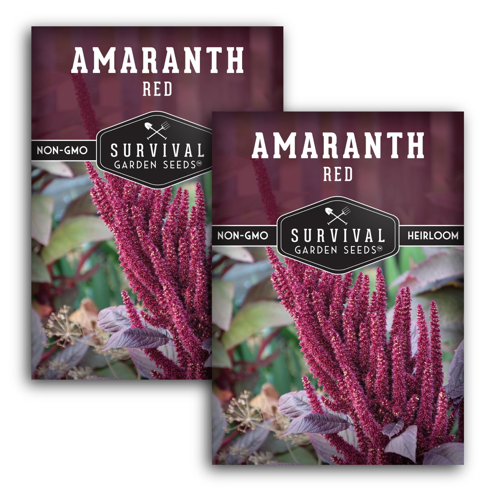 Red Amaranth Seeds – Fast Growing Edible Greens, Heat Tolerant – 2 Pack