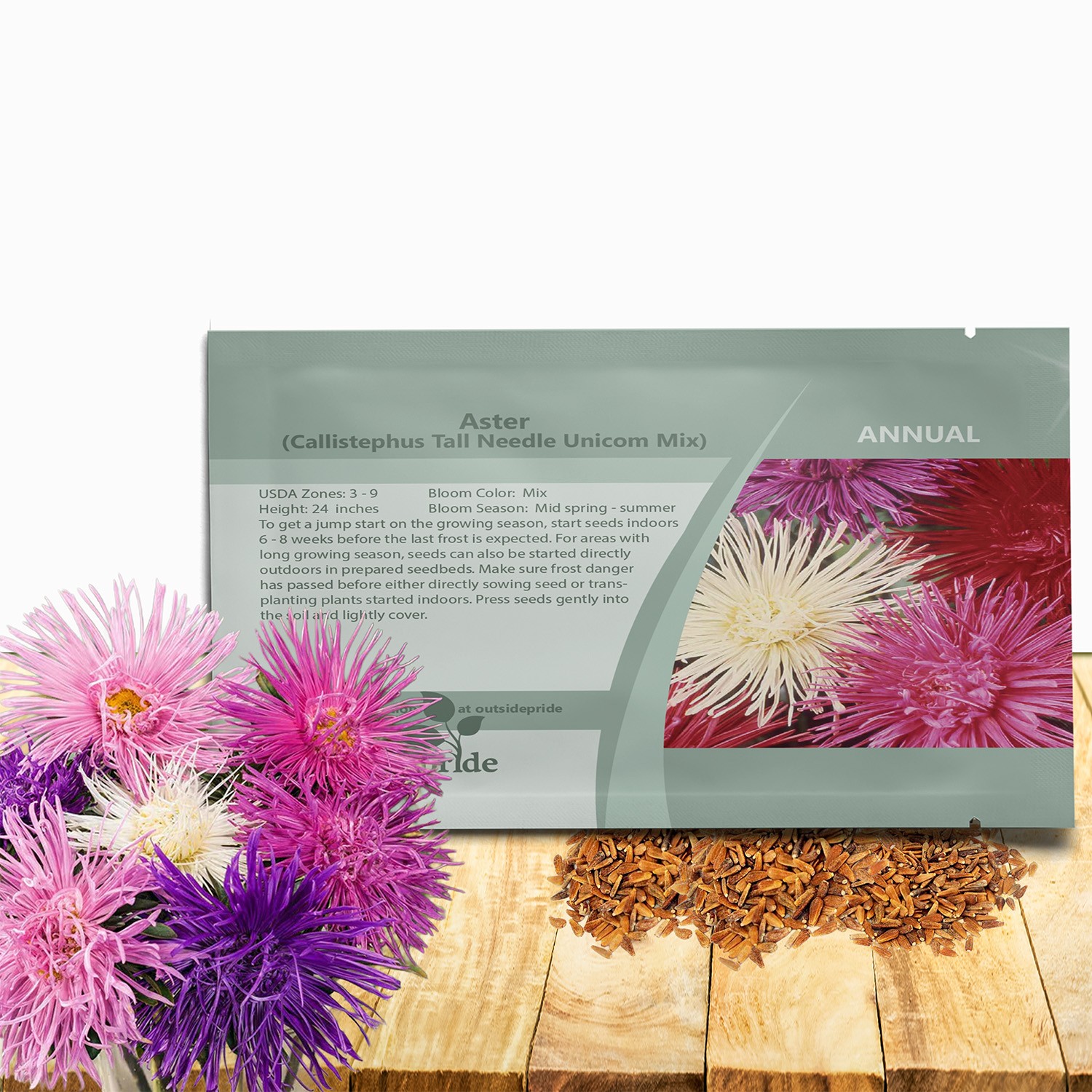 2000 Seeds Aster Seeds – Aster Callistephus Needle Mix Flower Seed