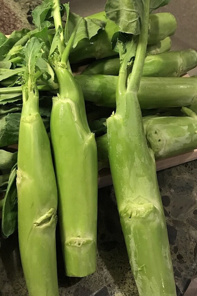 500+ Chinese Broccoli big Stem Gai Lan seeds , Cải Rổ, Big Sum Kailaan 嫩莖大芥蘭