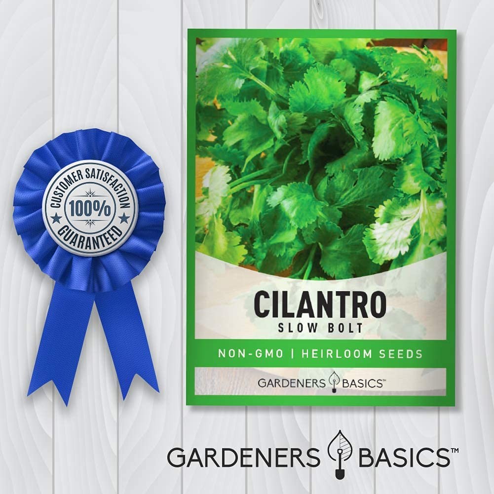 Cilantro Seeds for Planting Heirloom Non-GMO Herb Coriander Plant Seeds for H…