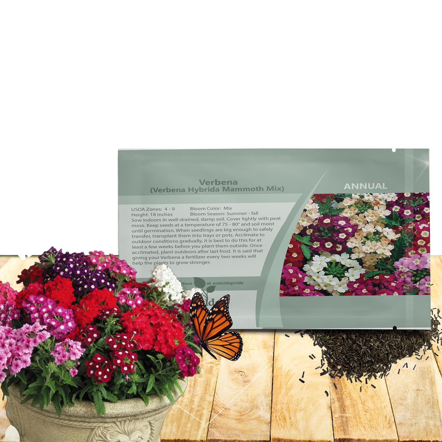 1000 Seeds Verbena Mammoth Flower Seed Mix – Annual Flowers
