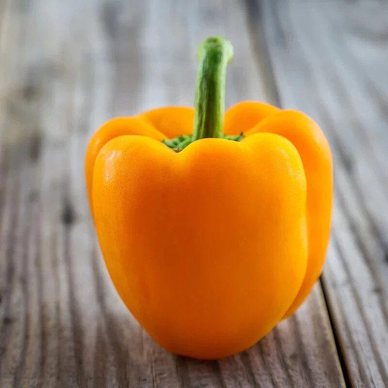 25+ seeds,Bell Pepper – Orange King, non-GMO, fast growing, open pollinated seed