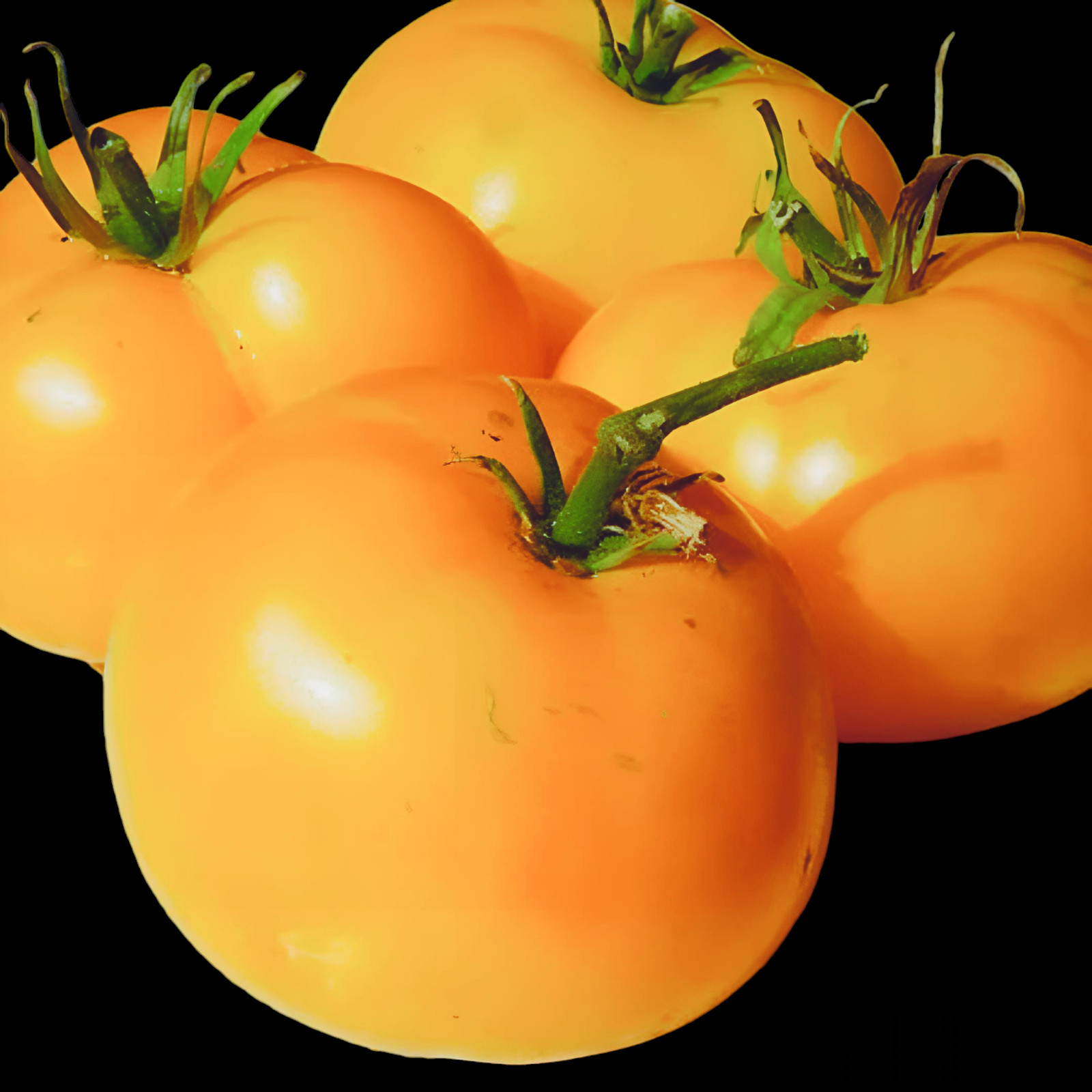 50 Azoychka, Tomato Seeds | NON-GMO | Indeterminate | Heirloom