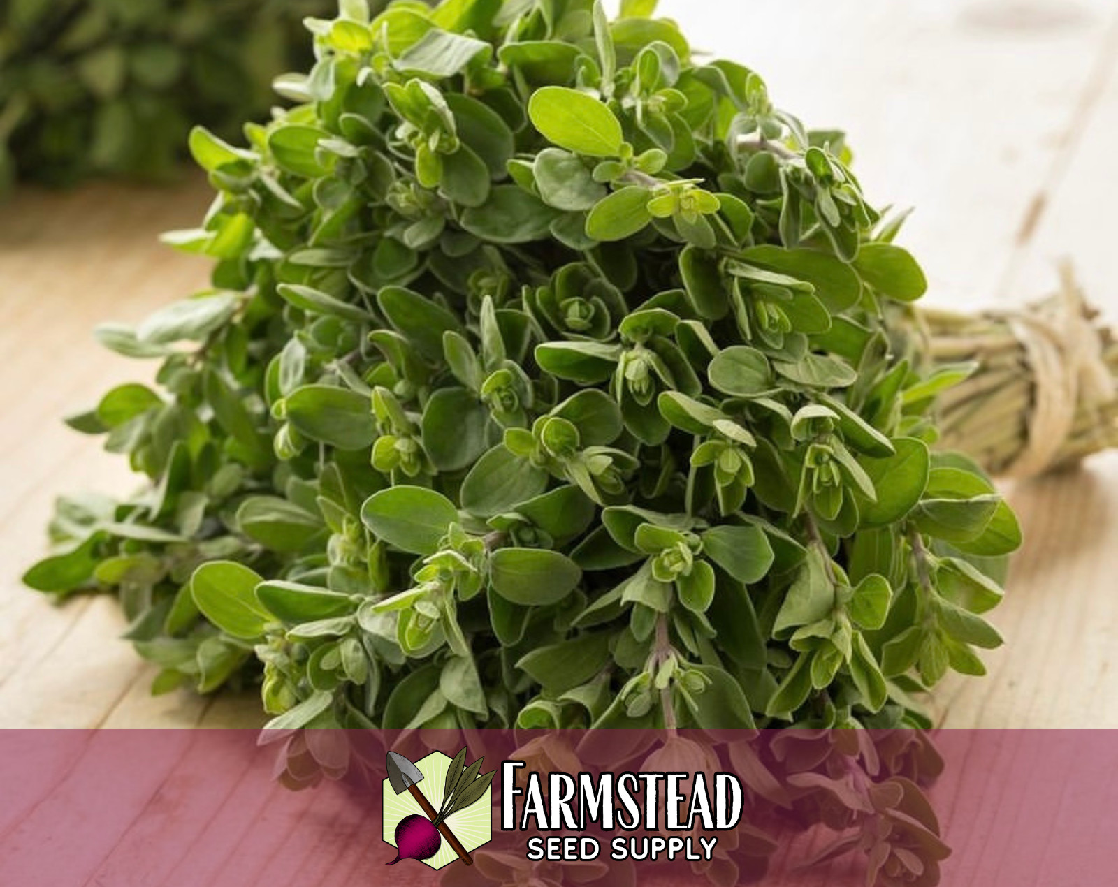 4,200+ Sweet Marjoram Seeds, Culinary Herb Gardening, Heirloom, Non-GMO, USA