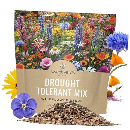 Drought Tolerant Wildflowers Mix – Extra Large Packet – Over 1 Ounce Pouch