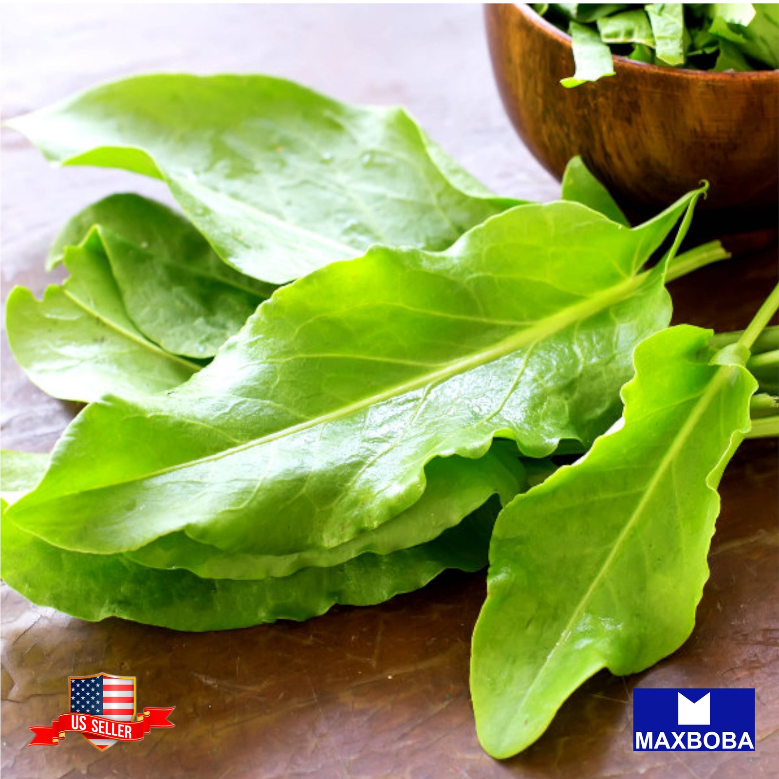Large Leaf Sorrel 720 Seeds Premium Non-GMO Heirloom