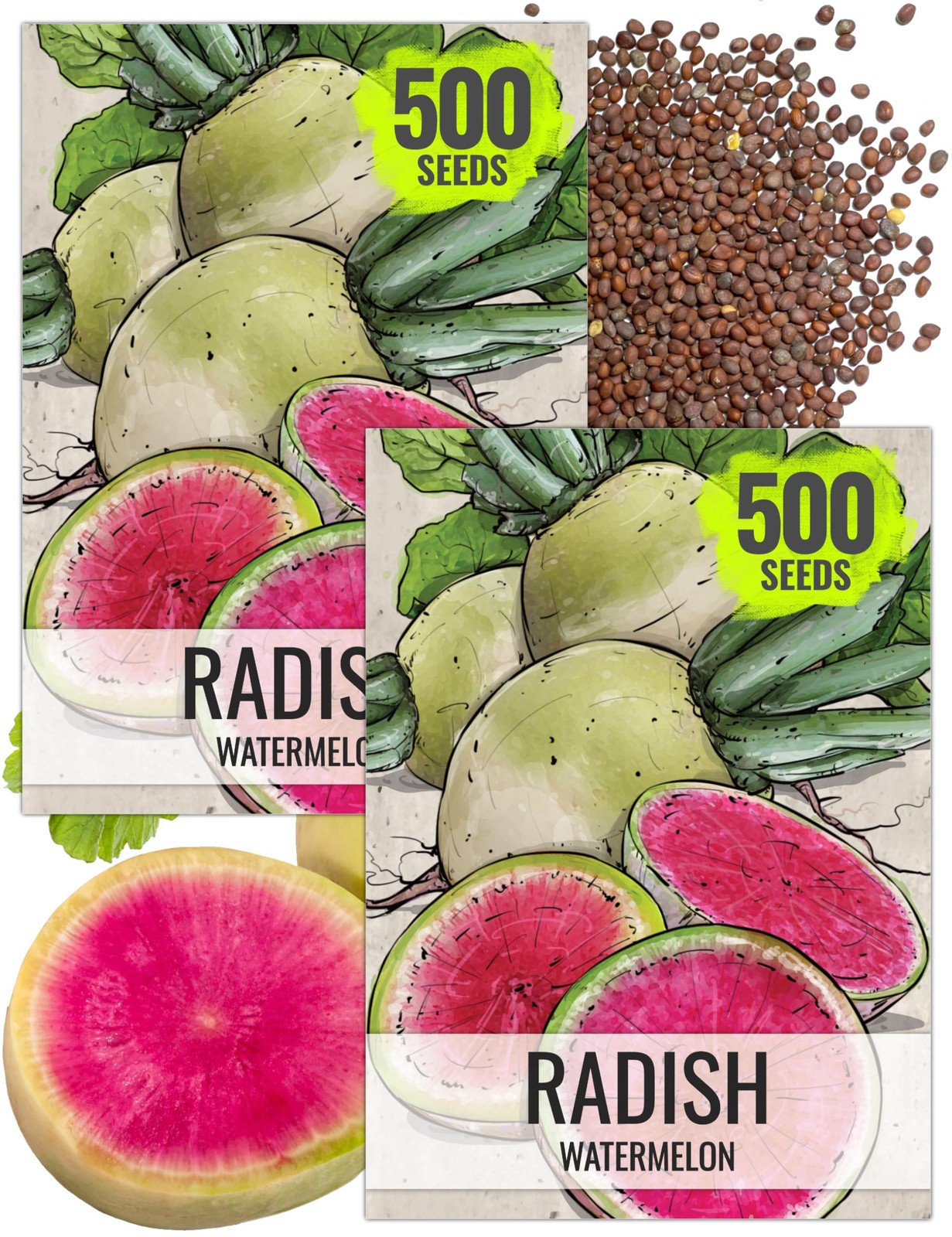 Watermelon Radish Seeds – Non-GMO & Untreated – 2 Pack for Vegetable Garden