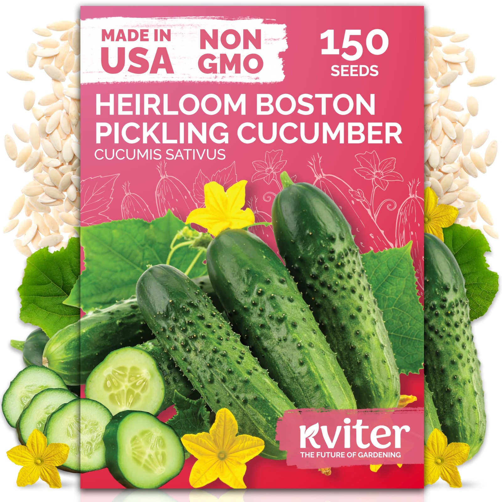 KVITER 150 Boston Pickling Cucumber seeds (Cucumis sativus)