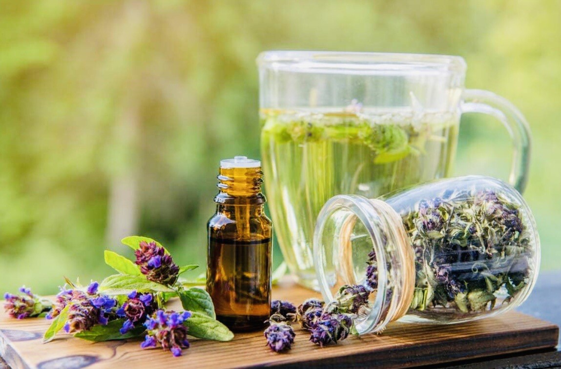 1000 Fresh Allheal Seeds – Prunella vulgaris – Medicinal Herb Seeds – Heal All