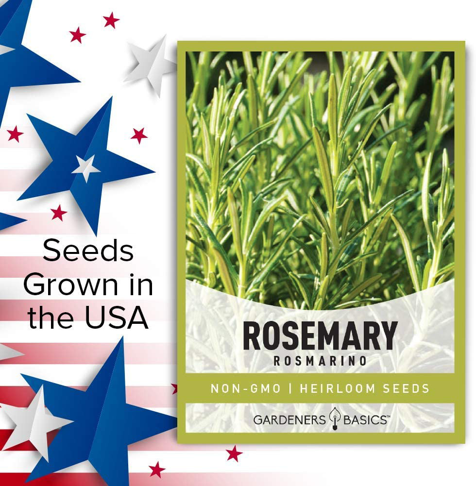 Rosemary Seeds for Planting – It Is a Great Heirloom, Non-Gmo Herb Variety- Grea